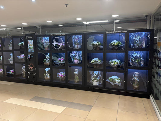Smart Refrigerated Flower Vending Machine – Encountering Romance and Convenience in France